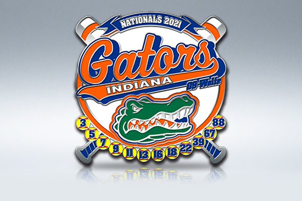 Gators Indiana Baseball Pins