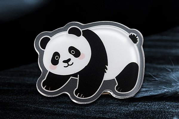 Custom Acrylic Lapel Pins