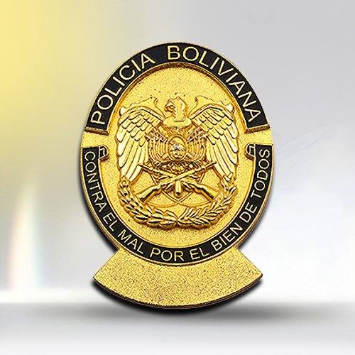 Custom Gold Sandblast Police Pin