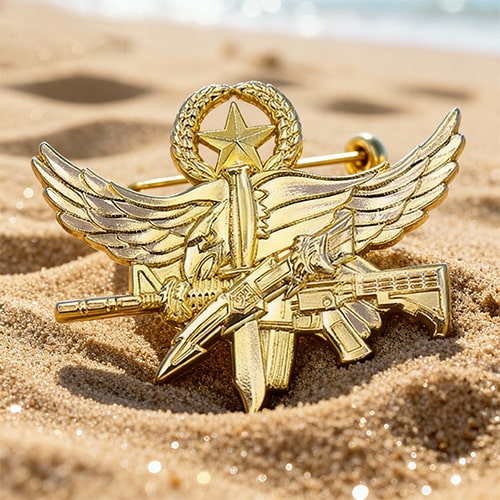 Golden Winged Arms & Star Military Pin