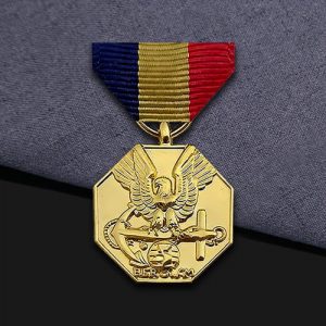 Custom 3D Octagonal Naval Valor Medal